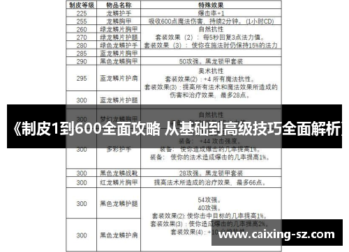 《制皮1到600全面攻略 从基础到高级技巧全面解析》